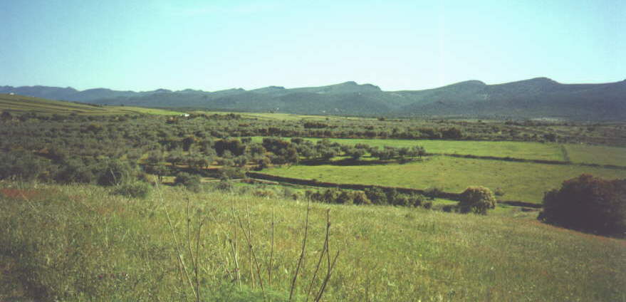 SIERRA DE ALTAMIRA